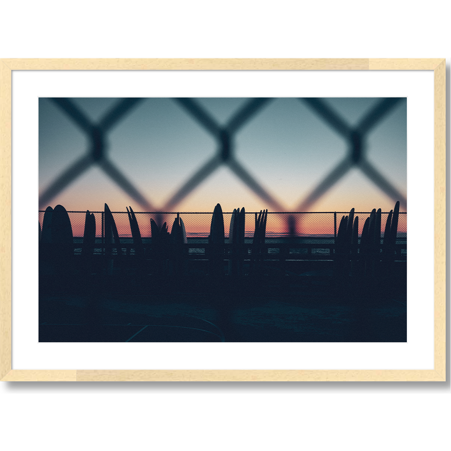 Fenced In