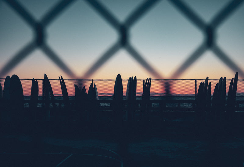 Fenced In